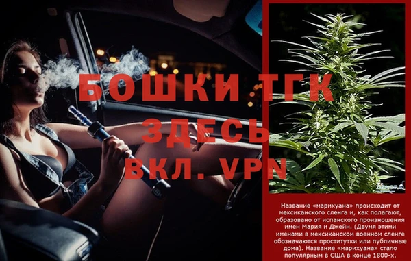 дурь Арсеньев