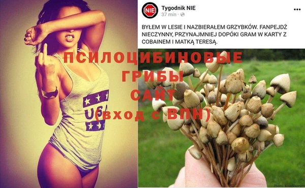 дурь Арсеньев